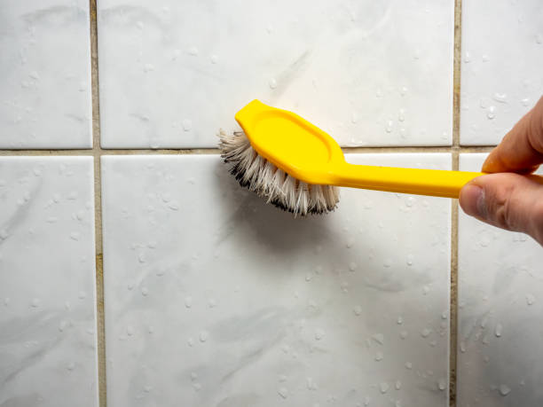 Best Local Mold Removal Service  in Syosset, NY