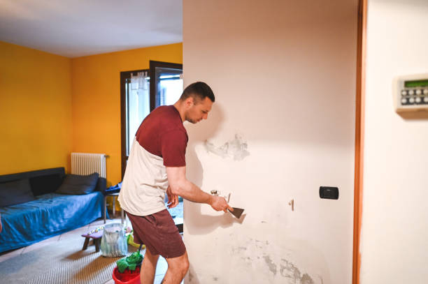 Best Residential Mold Removal  in Syosset, NY